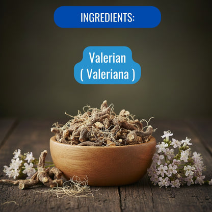 Valerian Labfarve extract drops (60 mL) 2 Fl Oz